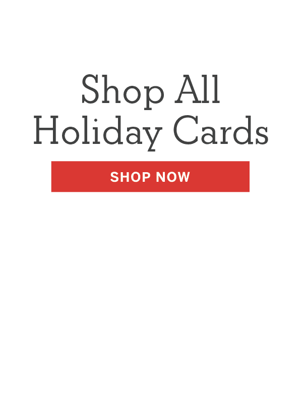 WaterfallBlocks_HolidayLastMinuteSale23_HolidayCards
