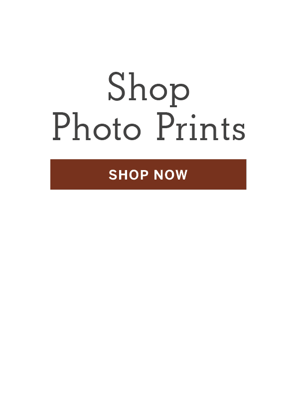 WaterfallBlocks_FathersDay24LastMinute_PhotoPrints