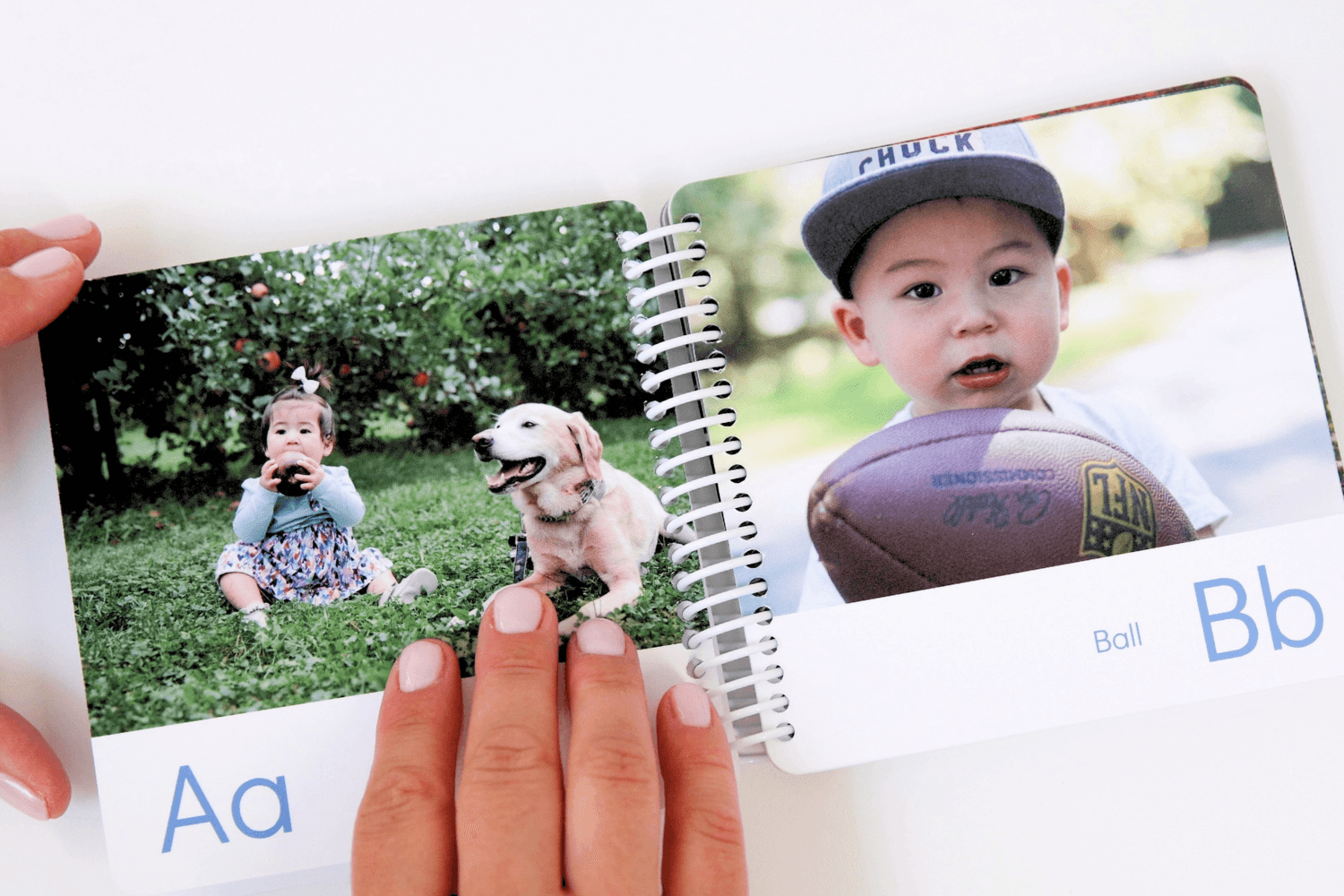 Homepage_ABCBoardBook